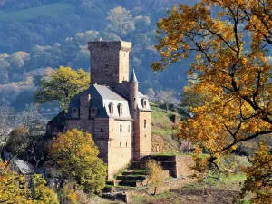 Image of CHATEAU LA SERVAYRIE - Chambre d'hôtes