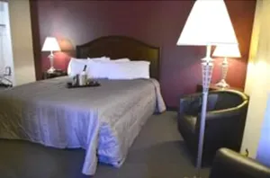 Image of The Henson