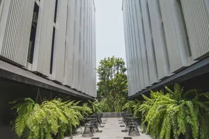 Image of The Wind Holiday