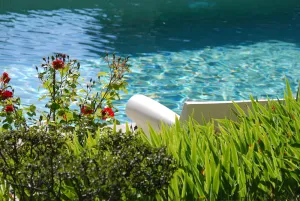 Image of Sous les Canniers
