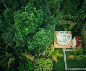 Image of Jungle Bubble Lodge