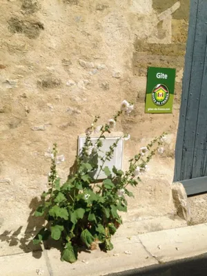 Image of Gites les Tournesols