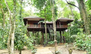 Image of Khao Sok Nature Resort