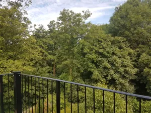 Image of Lakeview Apartments and Rooms