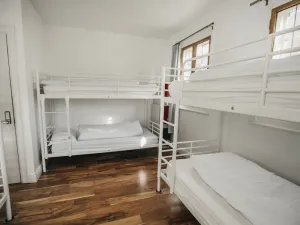 Image of The Walrus Bar and Hostel