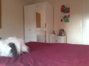 Image of 4 Bedroom Beaumaris Road, Newport Shropshire