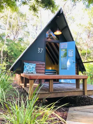 Image of Bungalow Bay Koala Village