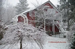 Image of Brook Falls Farm