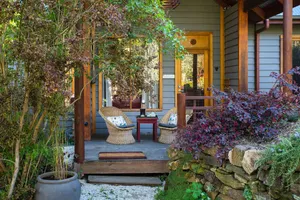 Image of Hills End Camellia