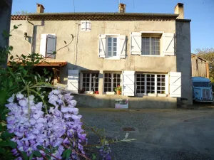 Image of Domaine Thomson