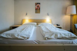 Image of Hotel Alphorn