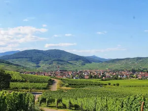 Image of Aux 6 hirondelles