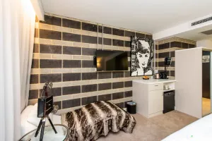 Image of Hollywood Style Studio With Fantastic Roof Terrace