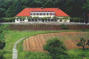 Image of Johannisberg