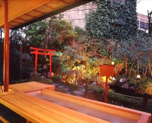 Image of Onyado Megumi