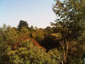 Image of Forest Gate Lodge