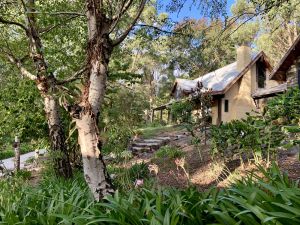 Image of Emerald Star Cottages