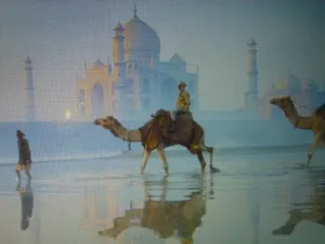 Image of Spacieux appartement ZEN 3pieces NICE centre