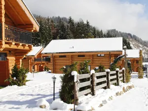 Image of Lovely Chalet with lush green view in Carinthia