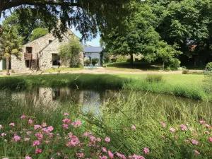 Image of Chambres Les Tilleuls