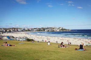 Image of 8 Your own Apartment in Centre of Bondi Junction