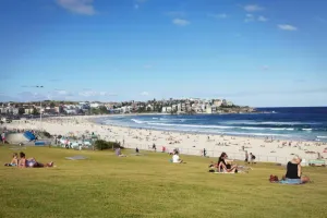 Image of 8 Your own Apartment in Centre of Bondi Junction