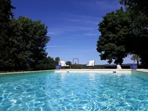 Image of Domaine du Merlot