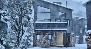 Image of Snow Stream 5