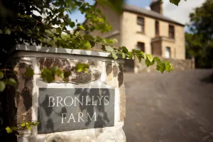 Image of Bronllys Farm