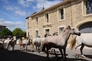 Image of Hôtel Restaurant O’Banel