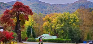 Image of Tanglewood Motel and Log Cabins