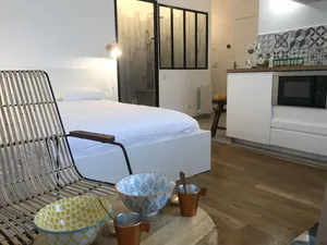 Image of La Suite de Léon appartement D - Lyon Garibaldi