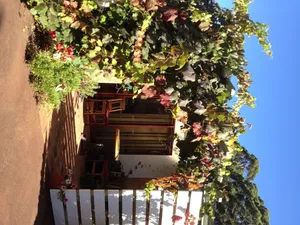 Image of Forest Retreat Bed and Breakfast
