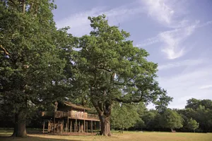 Image of De Vere Theobalds Estate