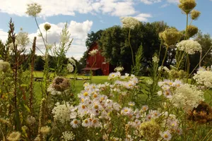 Image of Oz's Homestay Bed & Breakfast