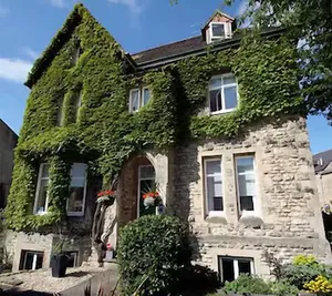 Image of The Ivy House