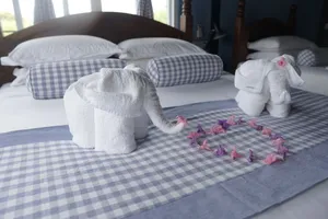 Image of Hotel Anjali