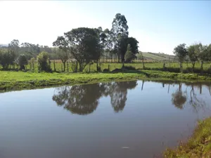 Image of Pousada Recanto do Teimoso - Pouso Alegre
