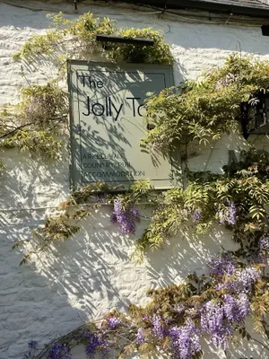 Image of The Jolly Tar