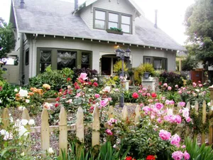 Image of A White Jasmine Inn