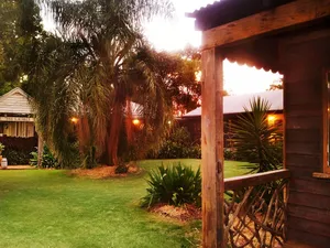 Image of The Laurels of Chinchilla