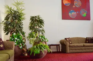 Image of Canberra Short Term & Holiday Accommodation