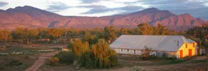 Image of Edeowie Station
