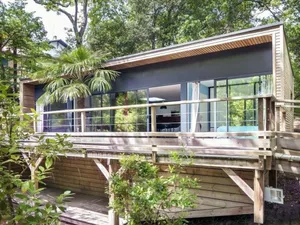 Image of Oasis