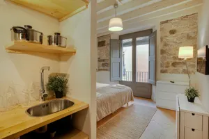 Image of Apartaments De L'Onyar
