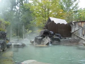 Image of Nakashimakan