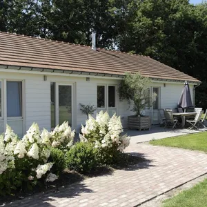 Image of Spitsbroek
