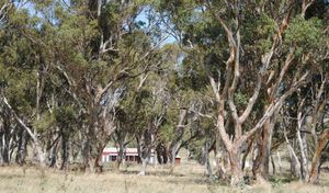 Image of Waterloo Country Accommodation