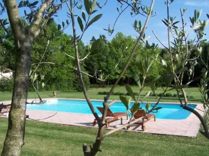 Image of La Maison Du Trapel