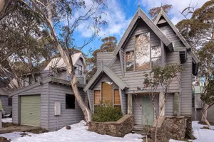 Image of Ironbark